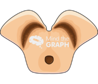 Healthy substantia nigra Icons, Symbols, Pictures, and Images