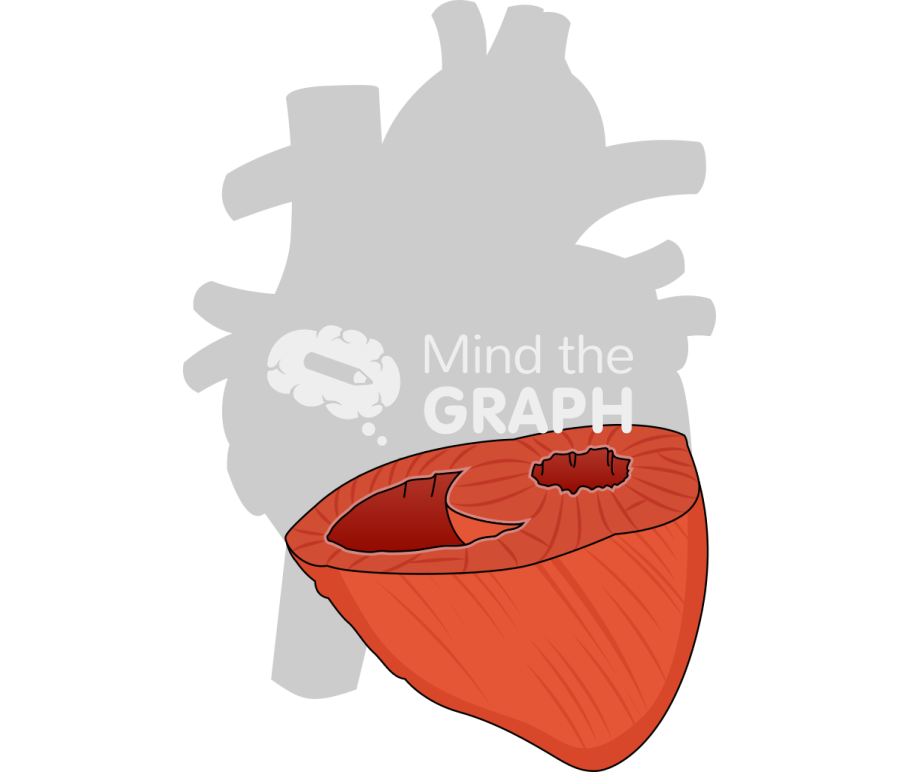 Heart contracted cut shape front Icons, Symbols, Pictures, and Images