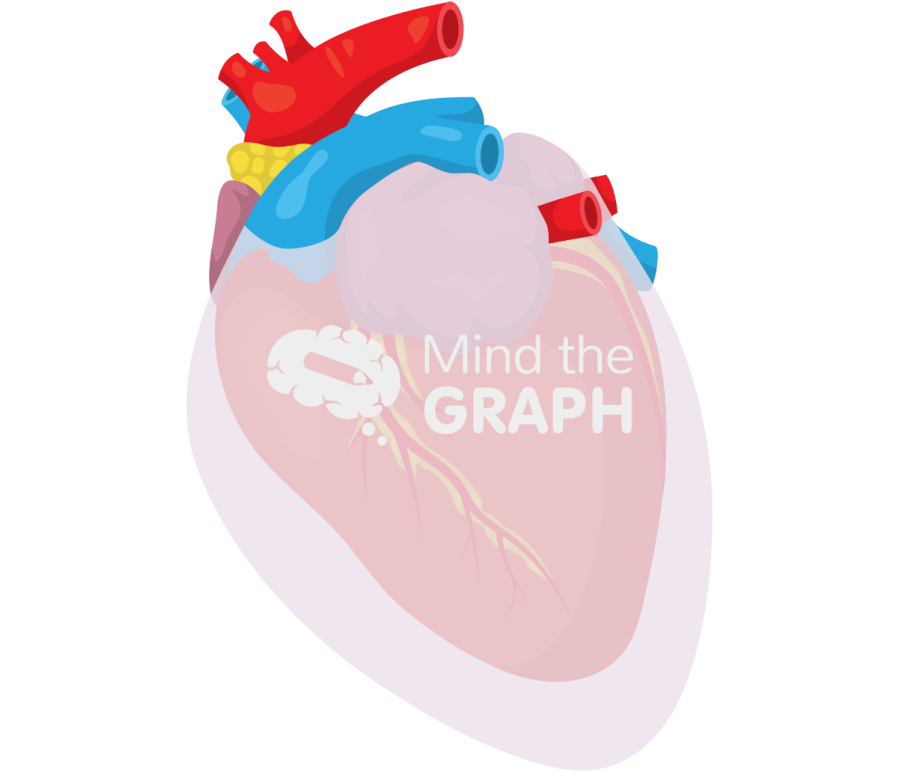 Heart pericardial effusion cat Icons, Symbols, Pictures, and Images