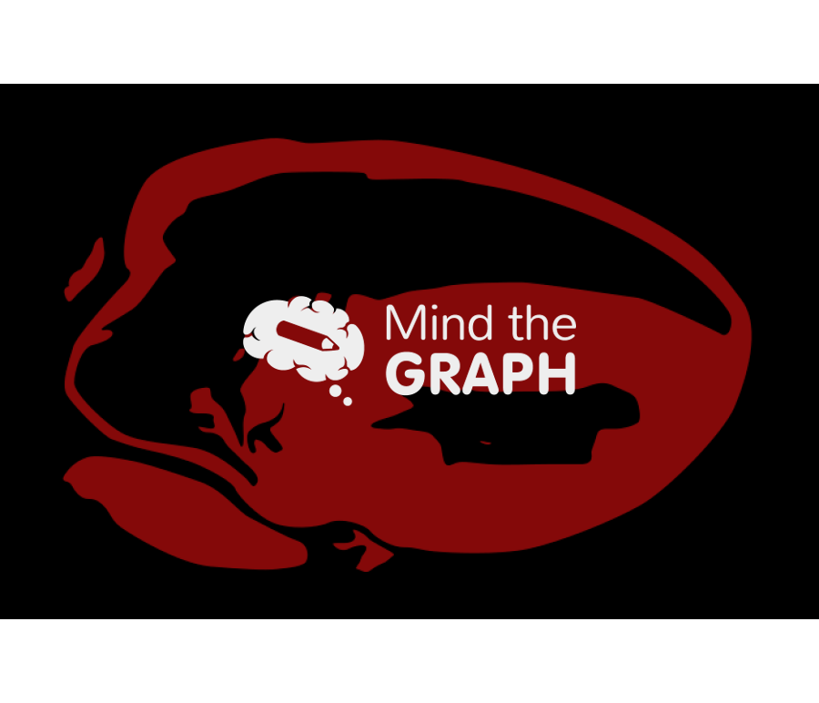 Heart second harmonic generation imaging 2 Icons, Symbols, Pictures, and Images