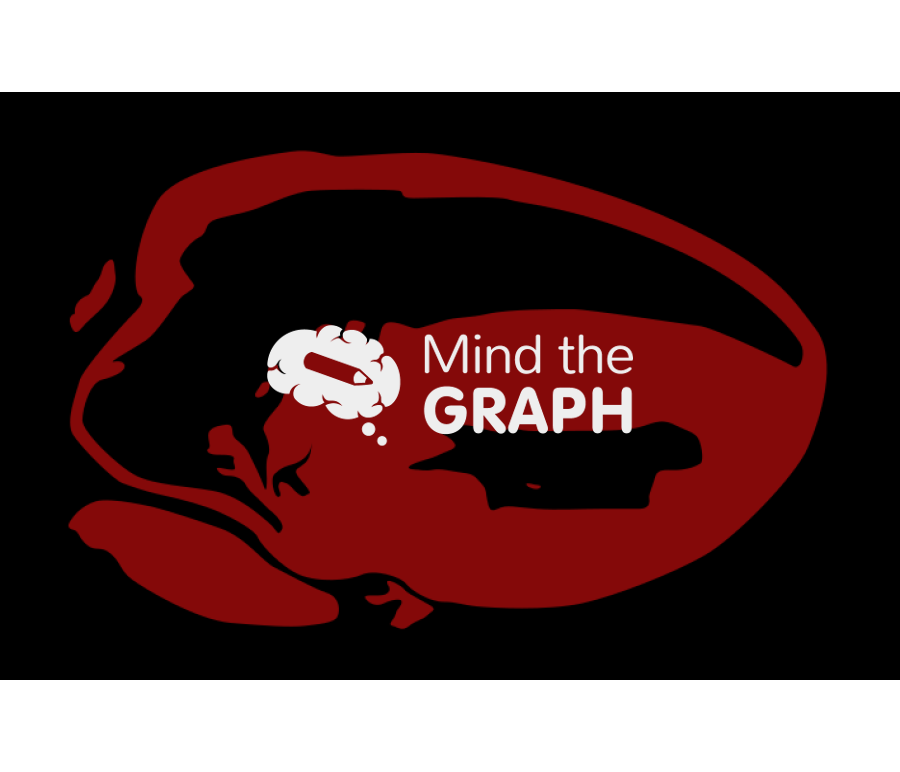 Heart second harmonic generation imaging 2 Icons, Symbols, Pictures, and Images