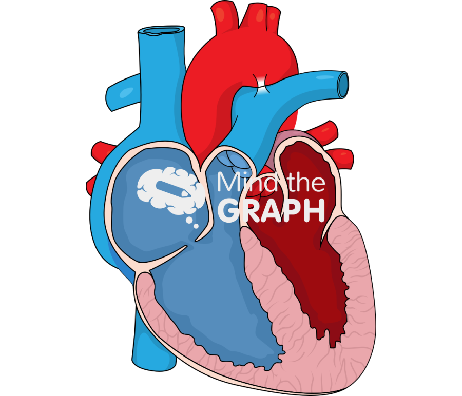 Heart secondary tricuspid regurgitation Icons, Symbols, Pictures, and Images
