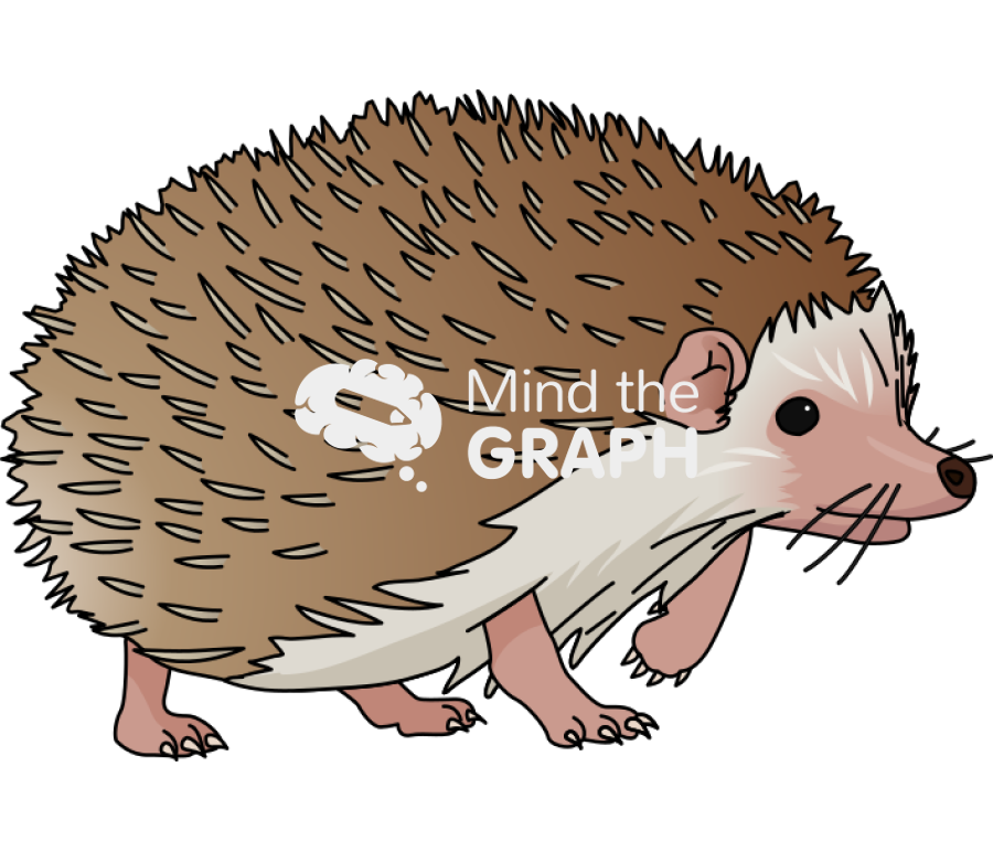 Hedgehog Icons, Symbols, Pictures, and Images