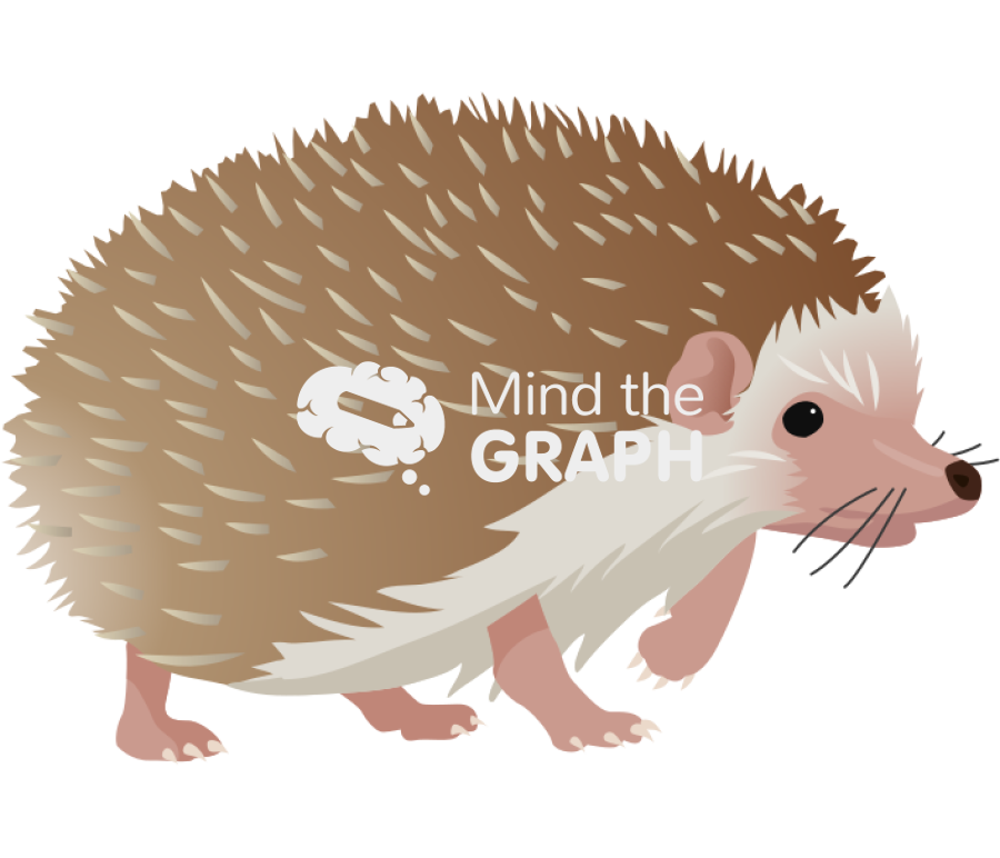 Hedgehog Icons, Symbols, Pictures, and Images