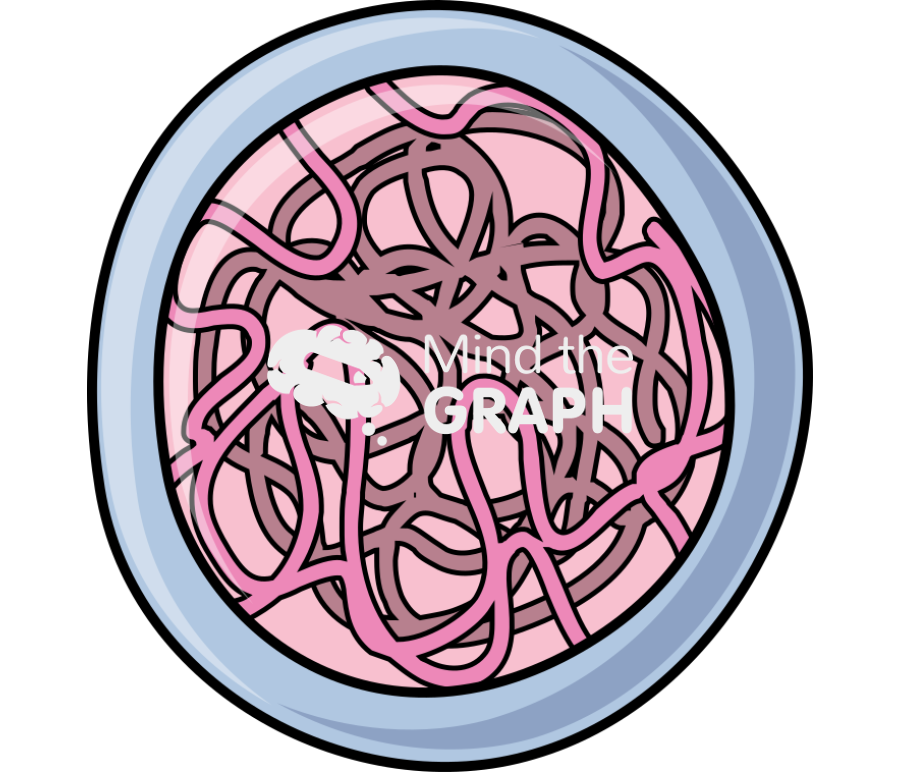 Hematopoietic stem cell Icons, Symbols, Pictures, and Images