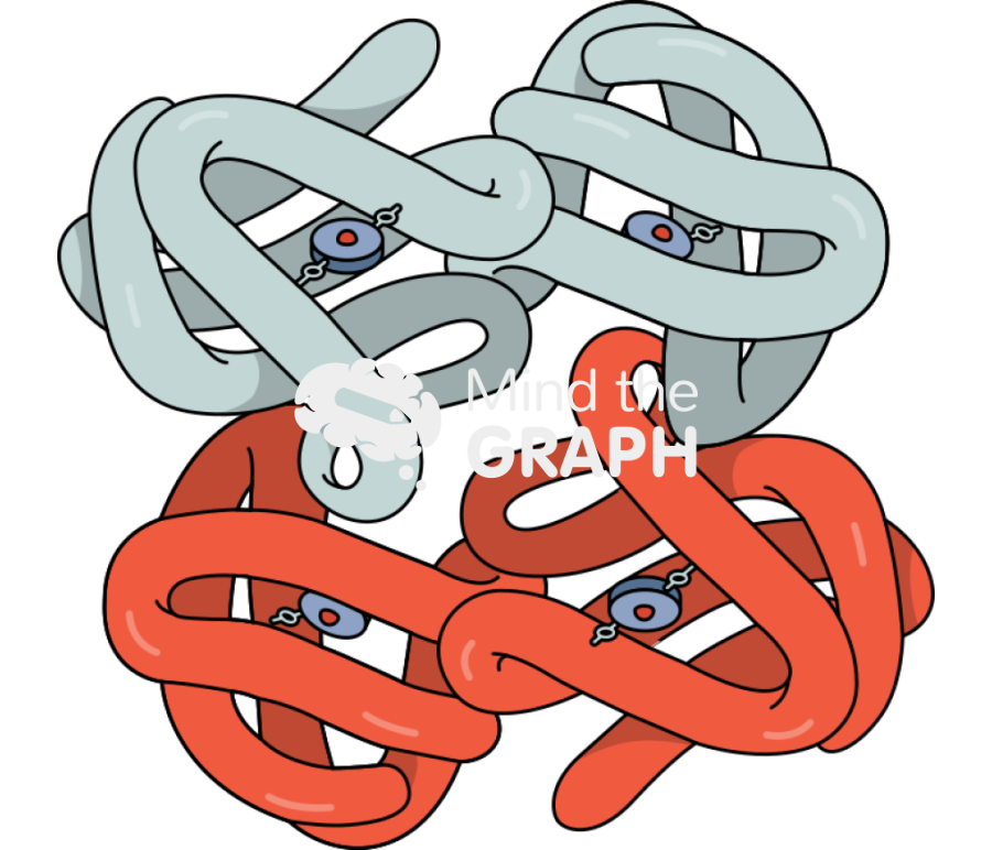 Hemoglobin globin chains group Icons, Symbols, Pictures, and Images