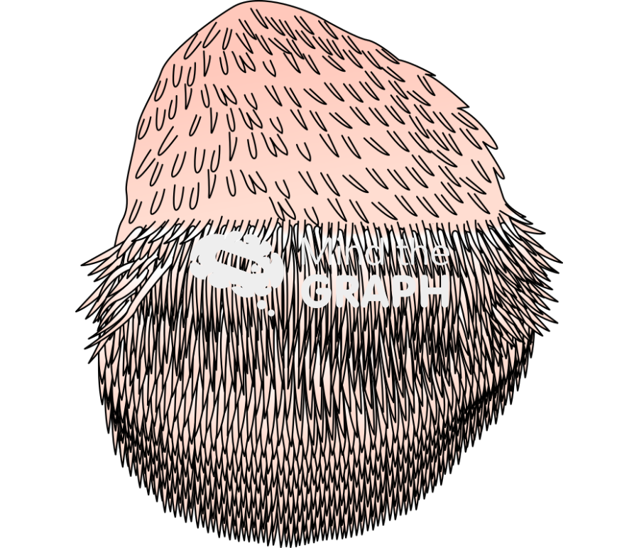 Hericium erinaceus lions mane mushroom Icons, Symbols, Pictures, and Images