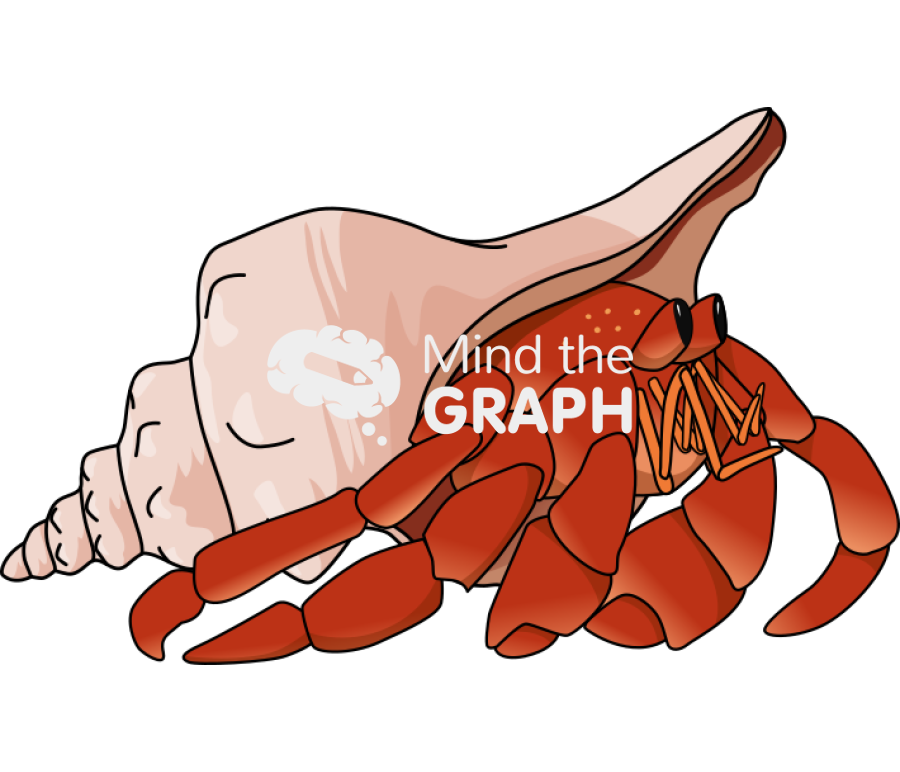 Hermit crab gastropoda Icons, Symbols, Pictures, and Images