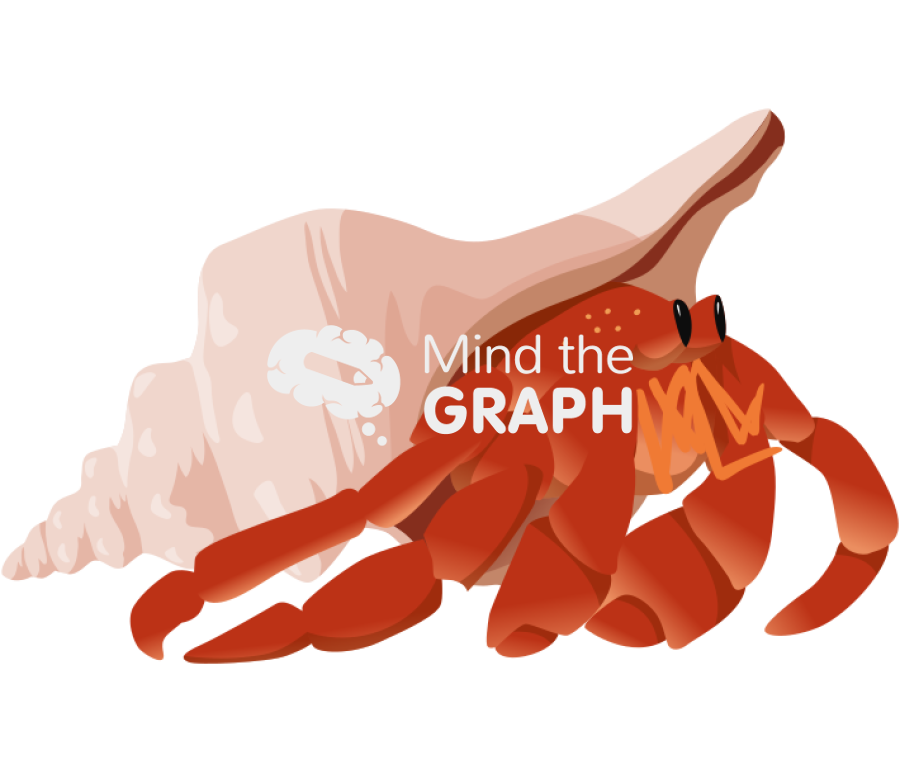 Hermit crab gastropoda Icons, Symbols, Pictures, and Images