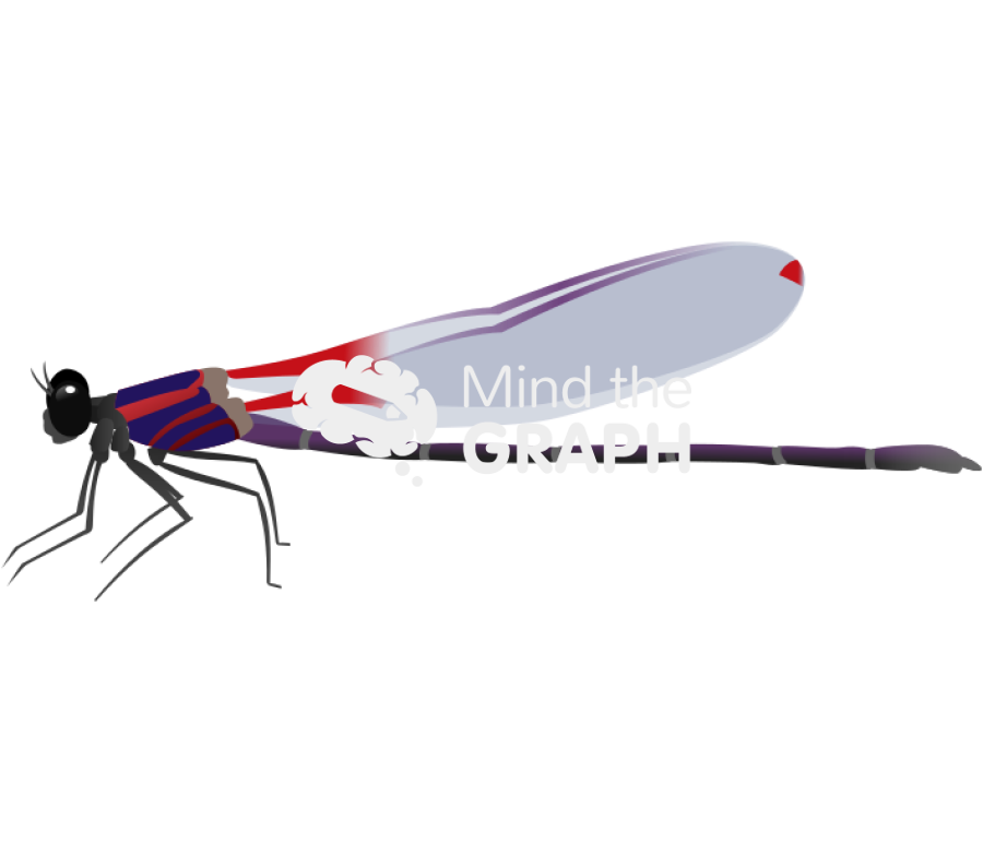 Hetaerina capitalis lateral Icons, Symbols, Pictures, and Images