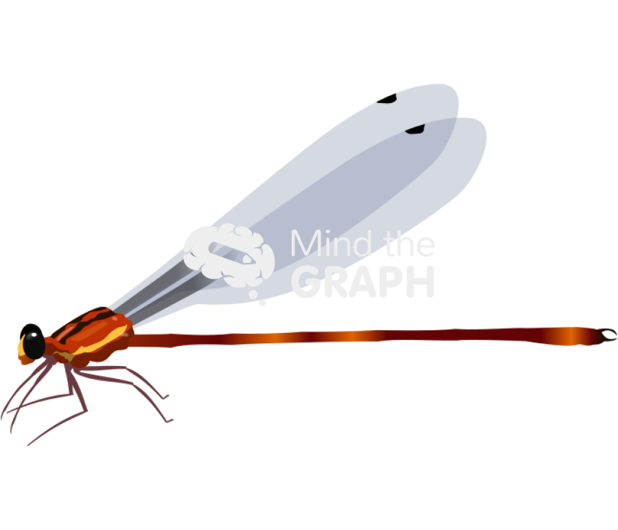 Heteragrion alienum lateral Icons, Symbols, Pictures, and Images