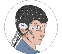 High density eeg zoom Icons, Symbols, Pictures, and Images