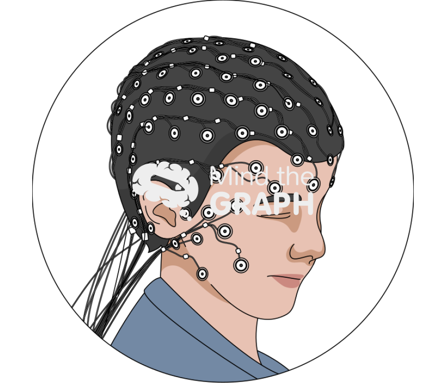 High density eeg zoom Icons, Symbols, Pictures, and Images