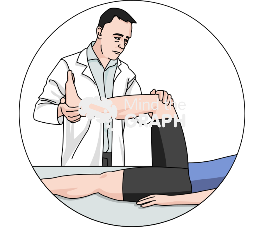 Hip flexion body zoom Icons, Symbols, Pictures, and Images