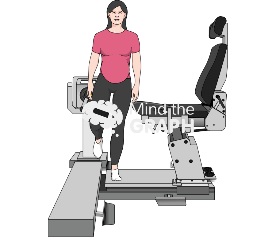 Hip flexion extension pregnant dynamometer Icons, Symbols, Pictures, and Images