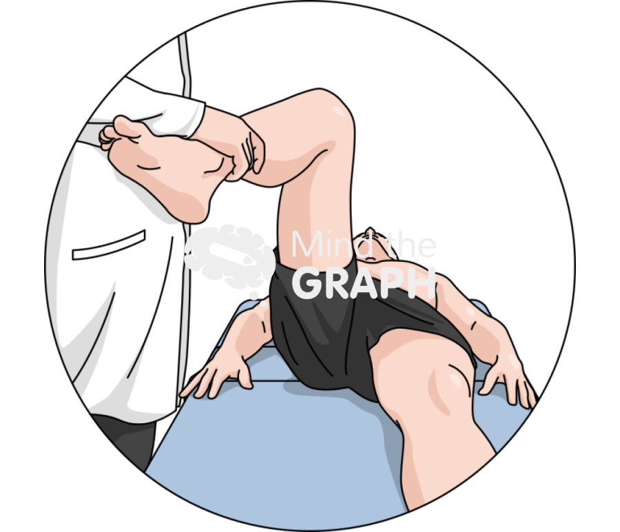 Hip internal rotation ir body zoom Icons, Symbols, Pictures, and Images