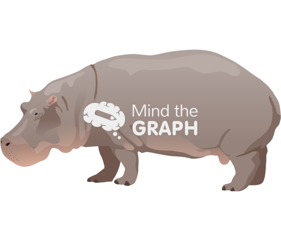 Hippopotamus Icons, Symbols, Pictures, and Images