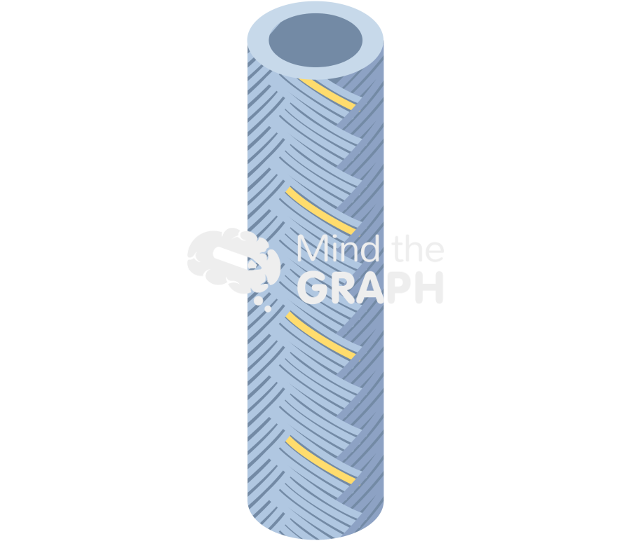 Hollow fiber membrane braided perspective Icons, Symbols, Pictures, and Images