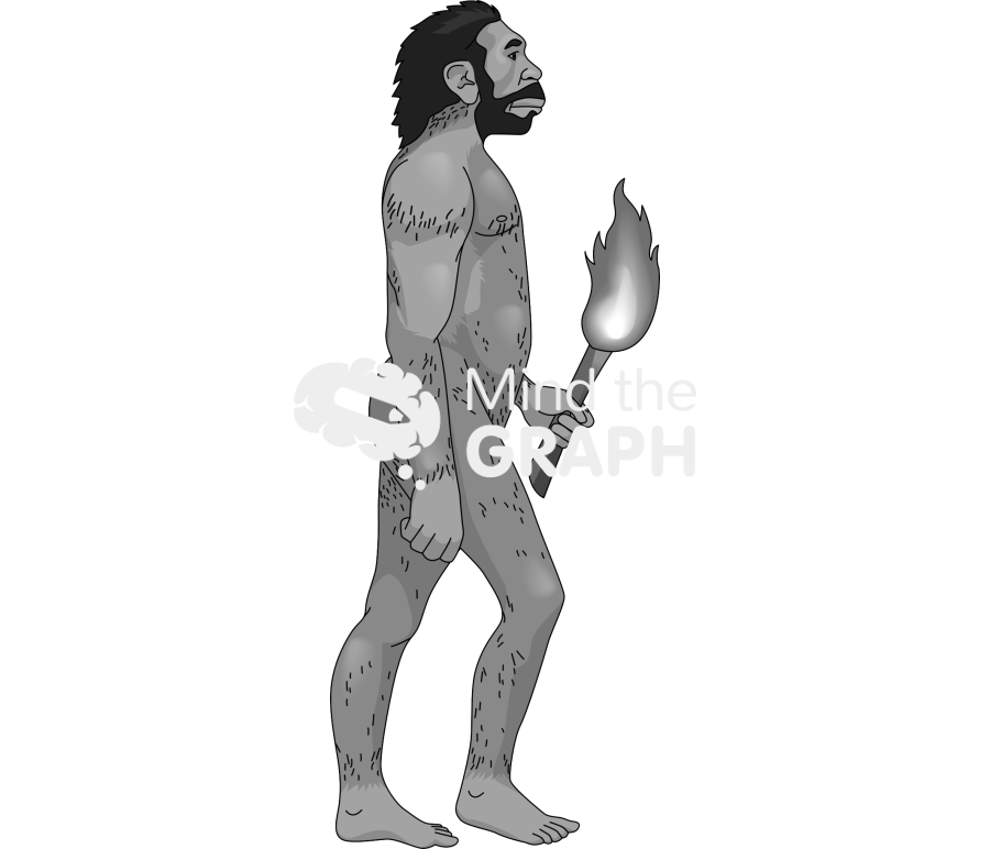 Homo erectus Icons, Symbols, Pictures, and Images