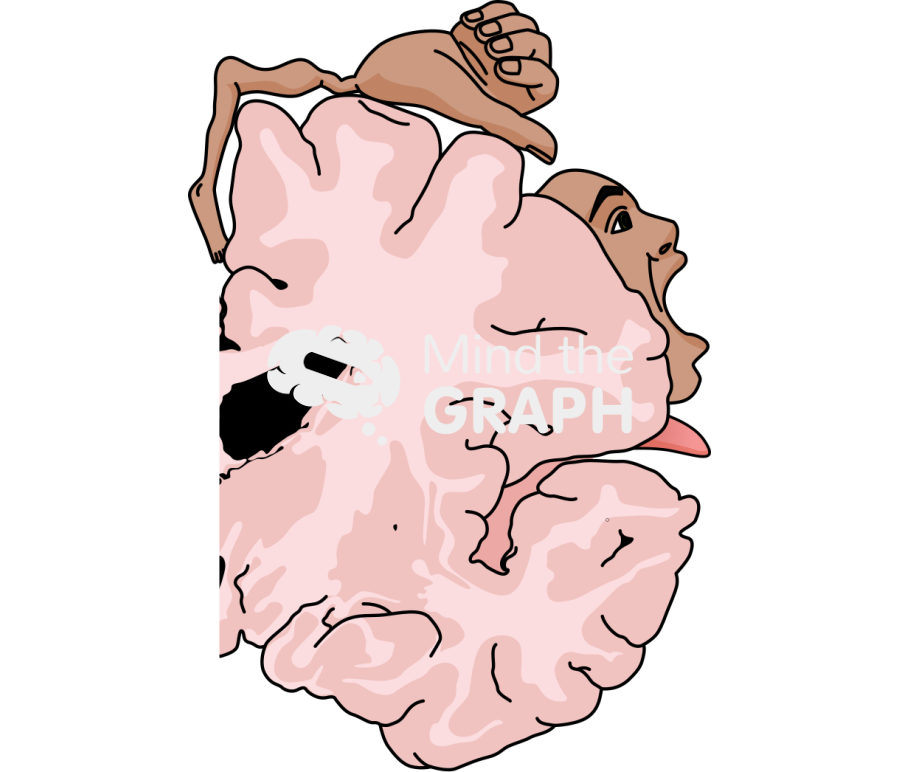 Homunculus primary motor cortex Icons, Symbols, Pictures, and Images