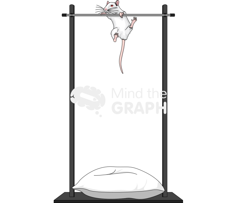 Horizontal bar padded test balbc mice Icons, Symbols, Pictures, and Images