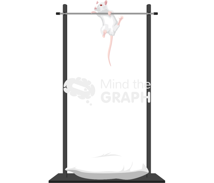 Horizontal bar padded test balbc mice Icons, Symbols, Pictures, and Images