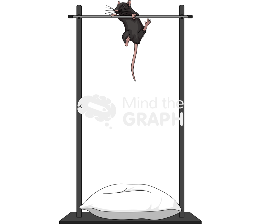 Horizontal bar padded test c57bl6 mice Icons, Symbols, Pictures, and Images