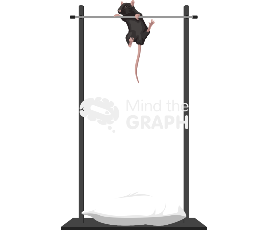 Horizontal bar padded test c57bl6 mice Icons, Symbols, Pictures, and Images