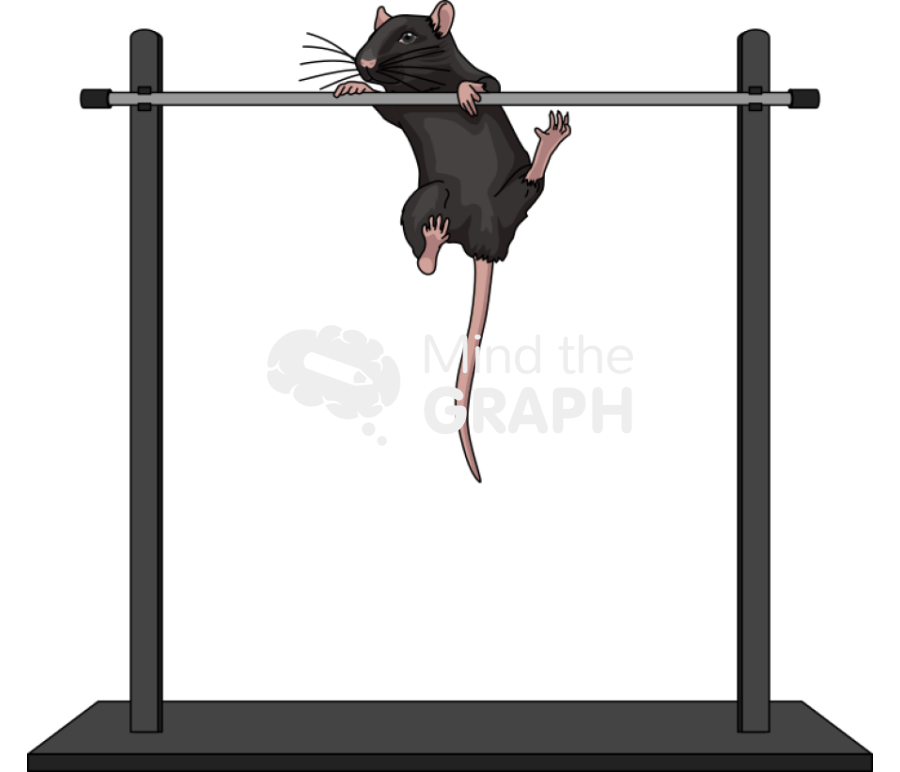 Horizontal bar test c57bl6 mice Icons, Symbols, Pictures, and Images