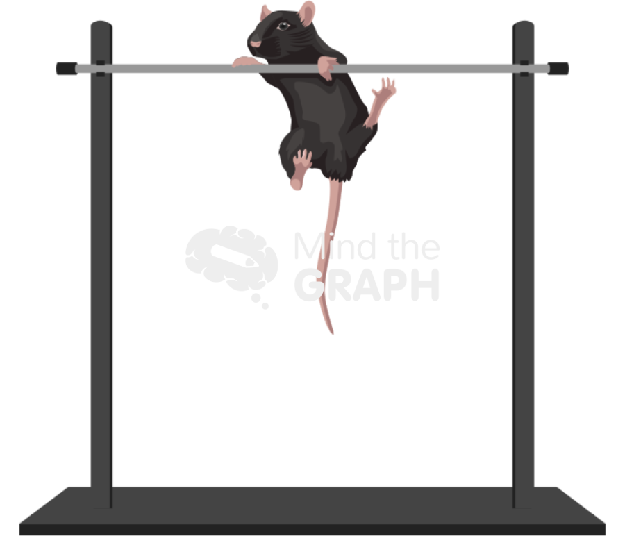 Horizontal bar test c57bl6 mice Icons, Symbols, Pictures, and Images