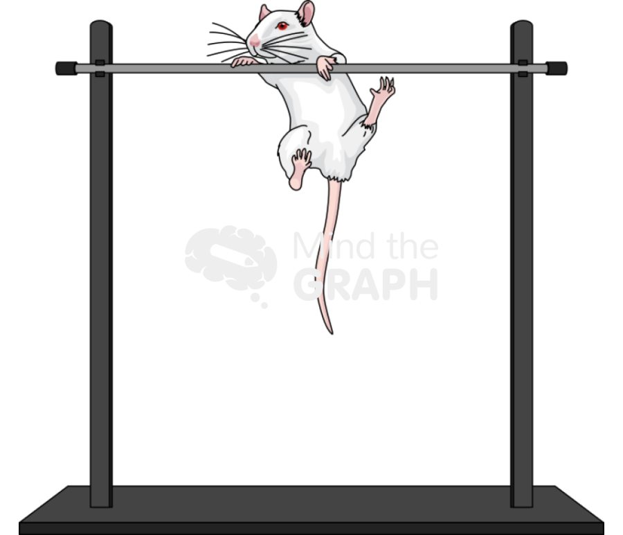 Horizontal bar test mice Icons, Symbols, Pictures, and Images