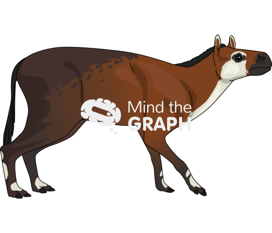 Horse eohippus lateral Icons, Symbols, Pictures, and Images
