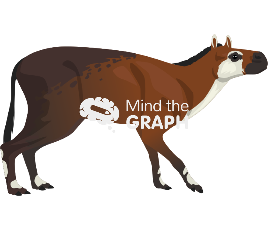 Horse eohippus lateral Icons, Symbols, Pictures, and Images