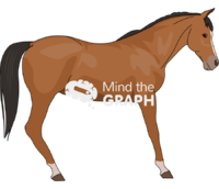 Horse laminitis lateral Icons, Symbols, Pictures, and Images