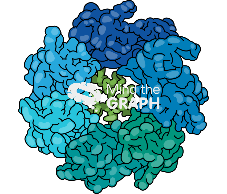Hsp60 chaperonin protein below view Icons, Symbols, Pictures, and Images