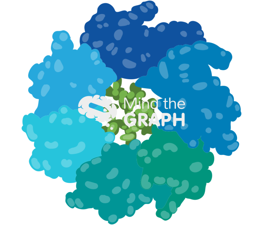 Hsp60 chaperonin protein below view Icons, Symbols, Pictures, and Images