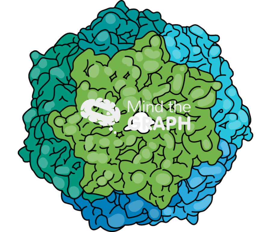 Hsp60 chaperonin protein top view Icons, Symbols, Pictures, and Images