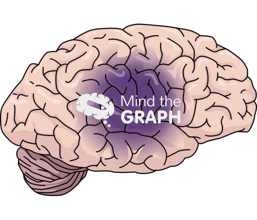 Human brain lateral blood injury Icons, Symbols, Pictures, and Images