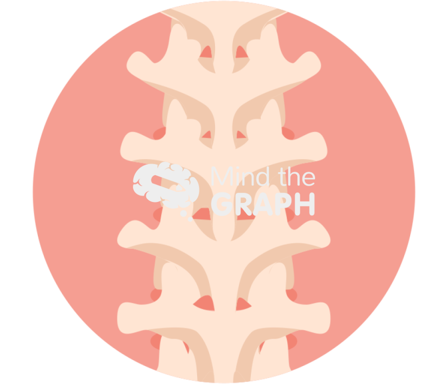 Human column back t9 t12 tzoom Icons, Symbols, Pictures, and Images