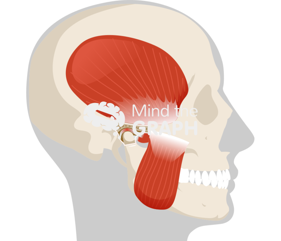 Human inflammed temporomandibular joint side cut shape Icons, Symbols, Pictures, and Images