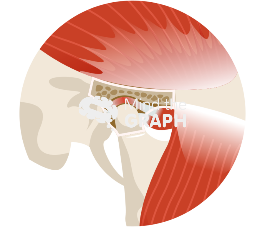 Human inflammed temporomandibular joint side zoom Icons, Symbols, Pictures, and Images