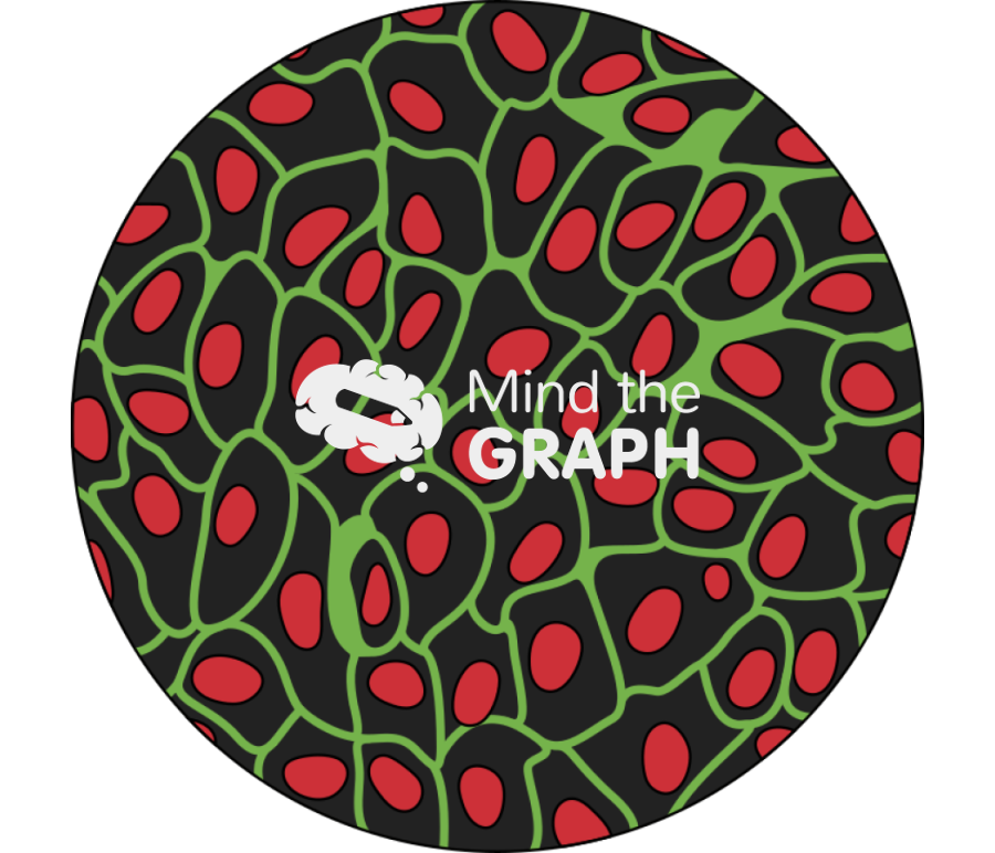 Human umbilical vein endothelial cells zoom Icons, Symbols, Pictures, and Images