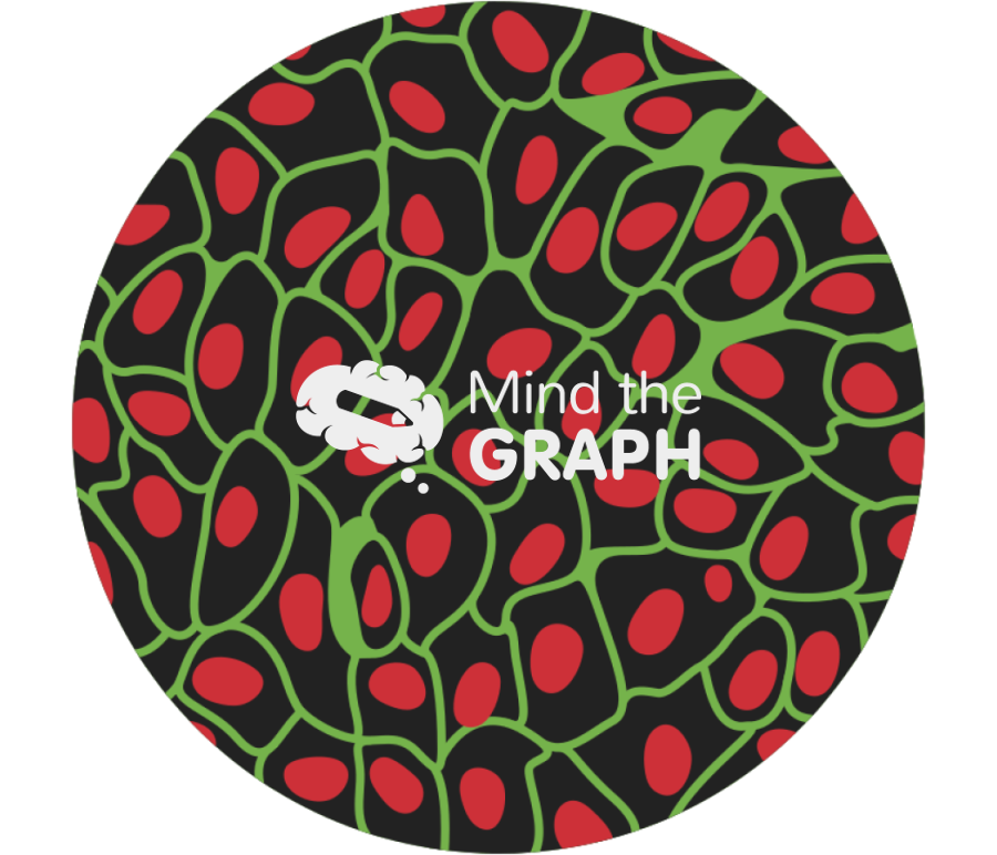 Human umbilical vein endothelial cells zoom Icons, Symbols, Pictures, and Images