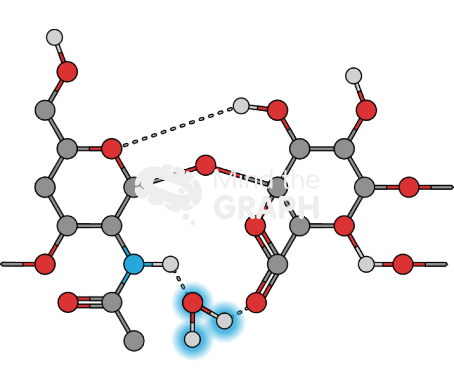 Hyaluronic acid molecule Icons, Symbols, Pictures, and Images