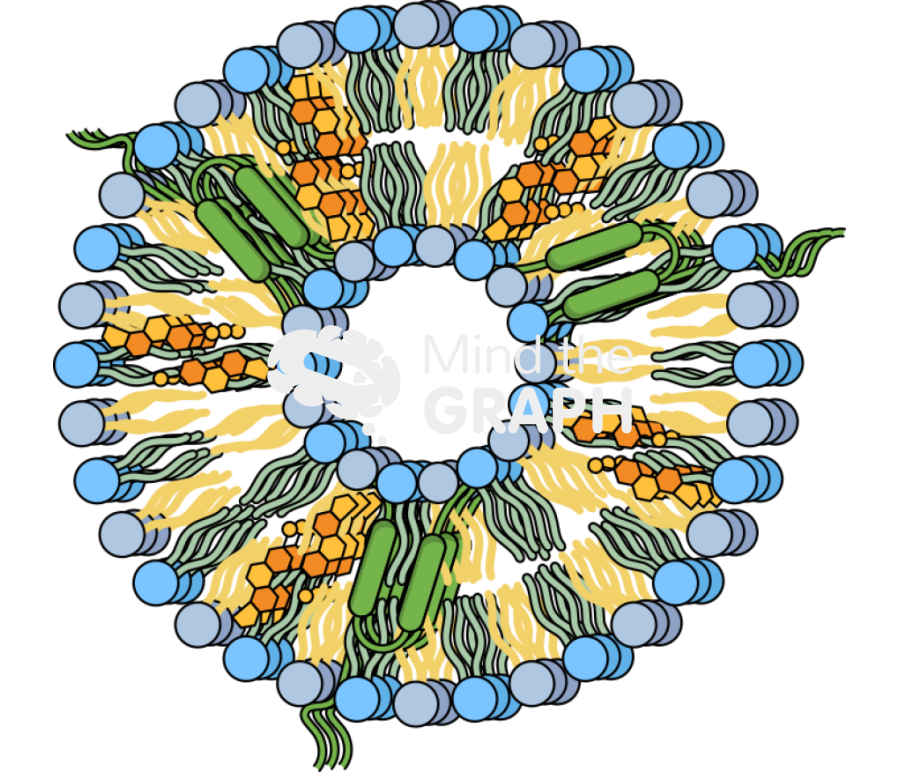 Hybrid exosome Icons, Symbols, Pictures, and Images