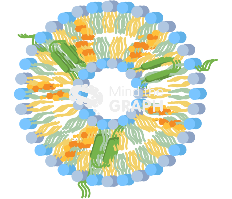 Hybrid exosome Icons, Symbols, Pictures, and Images