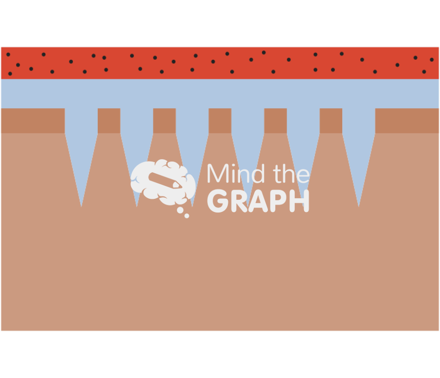 Hydrogel forming microneedles tissue 1 Icons, Symbols, Pictures, and Images