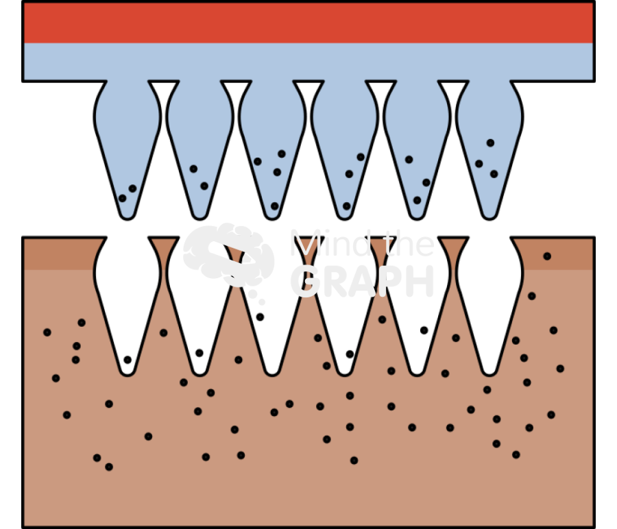Hydrogel forming microneedles tissue 3 Icons, Symbols, Pictures, and Images
