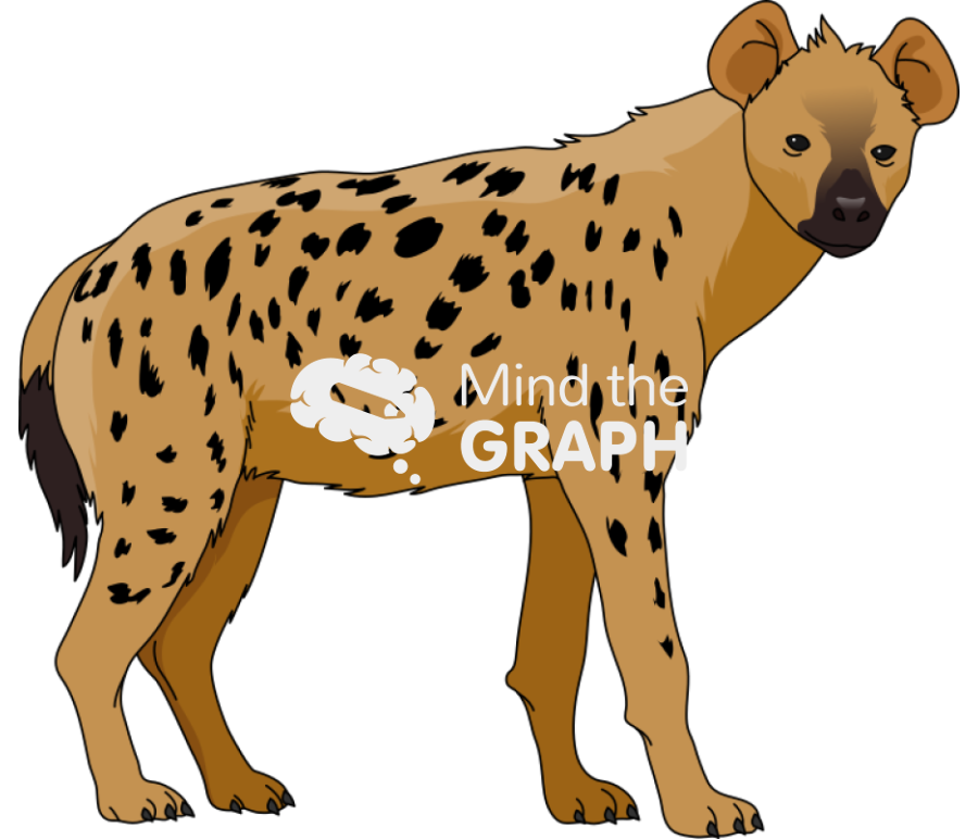 Hyena Icons, Symbols, Pictures, and Images
