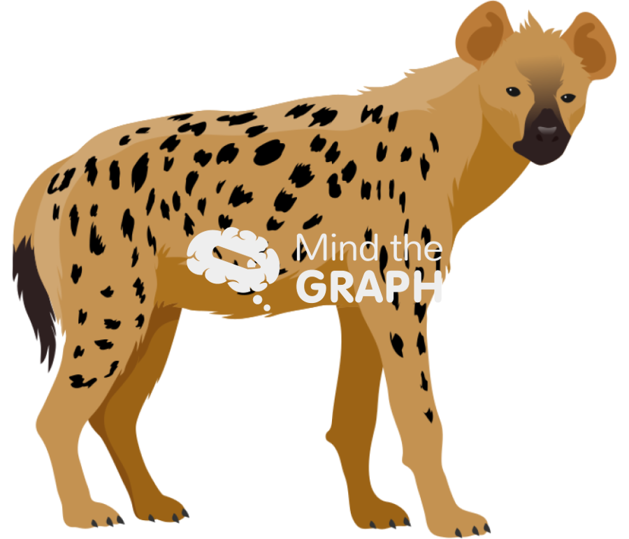 Hyena Icons, Symbols, Pictures, and Images